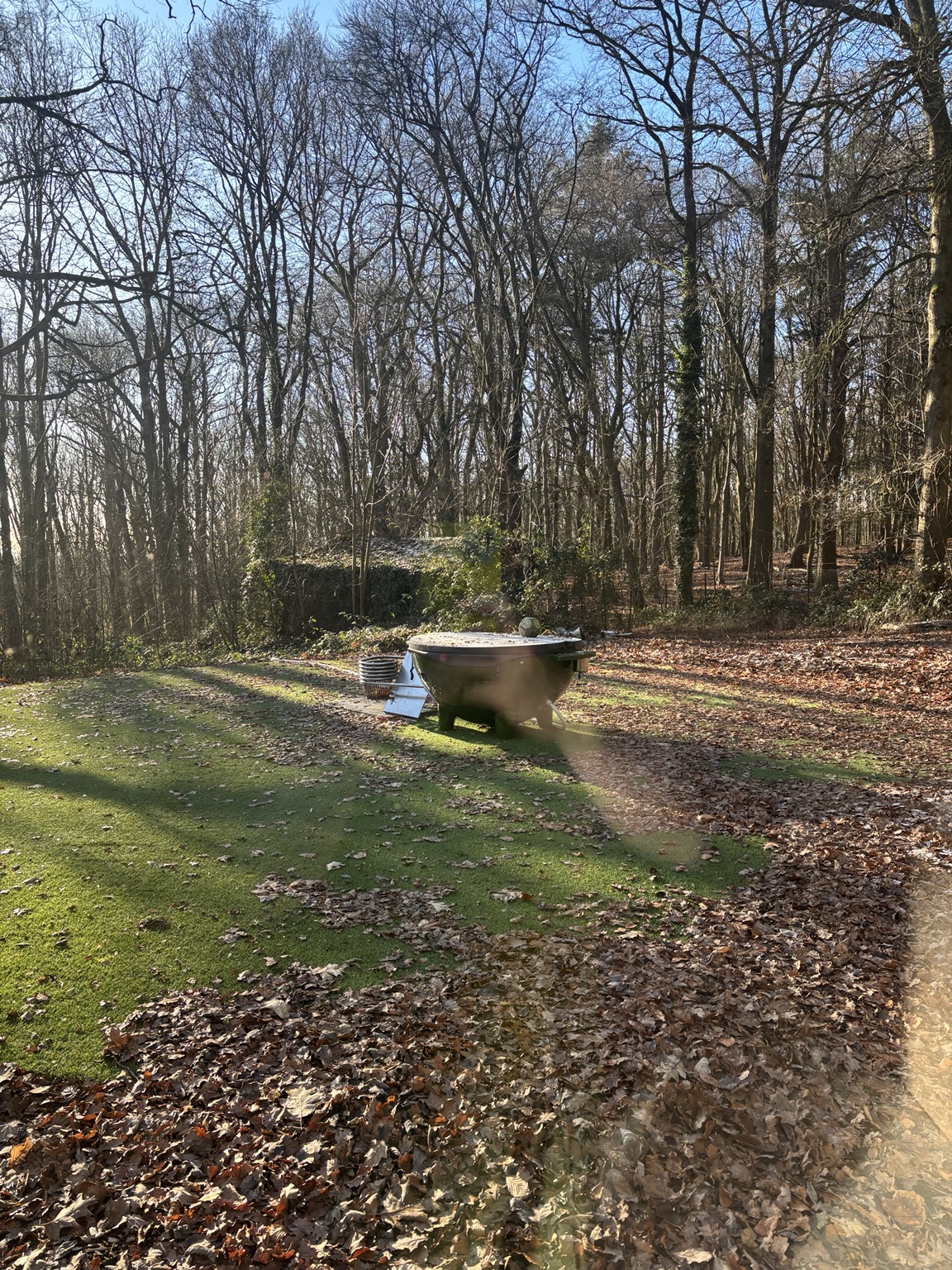 Outdoor bath in forest garden
