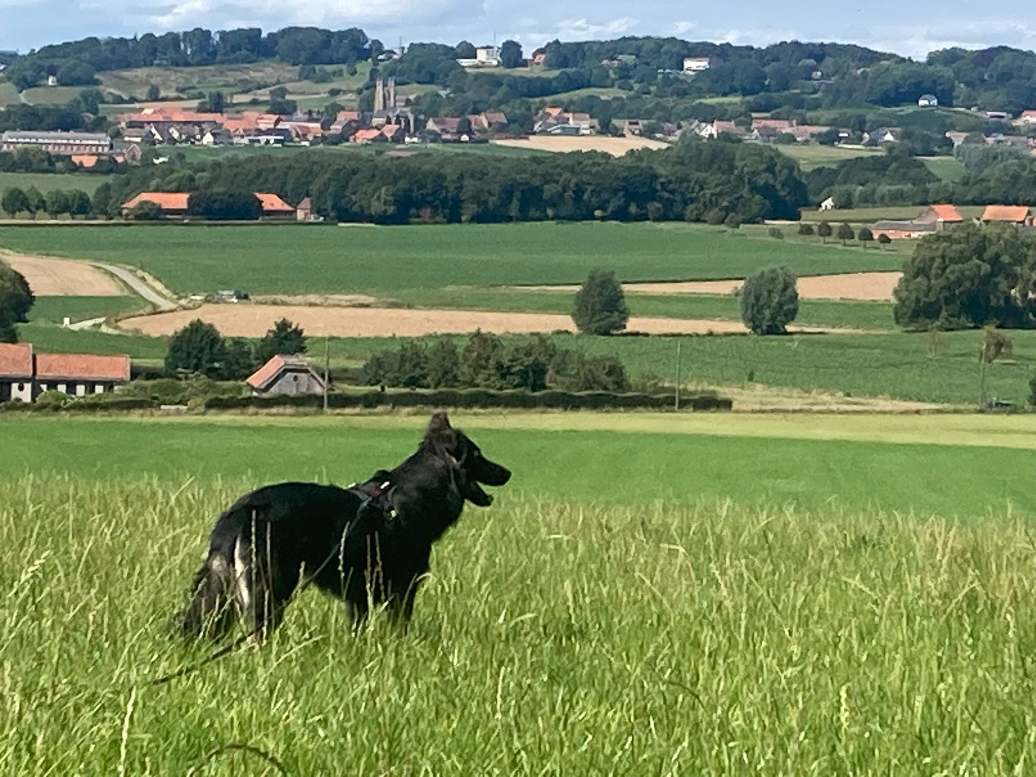 Kemmelberg valley view